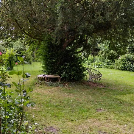 Beautiful In With Wifi *