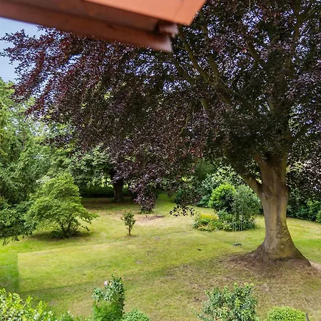 Beautiful In With Wifi Tatil Evi