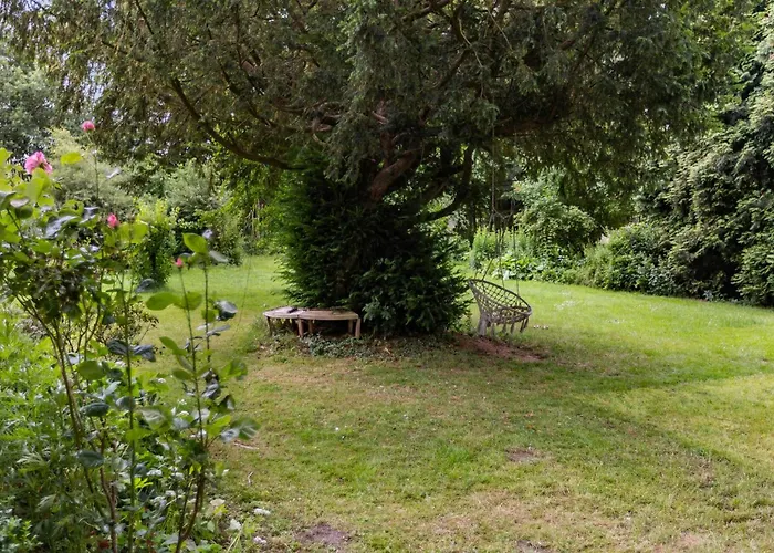 Beautiful In With Wifi *